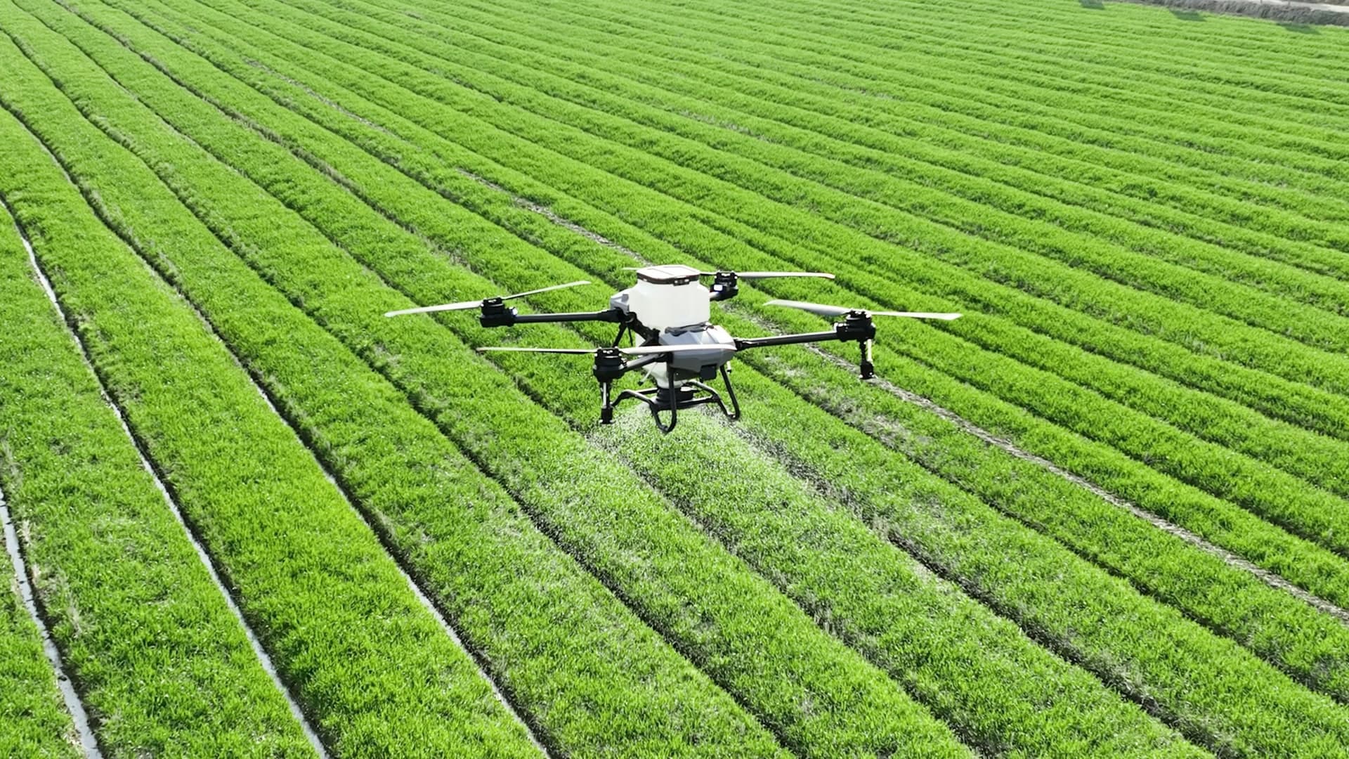 Agricultural drone working above a field as part of a specialist operation