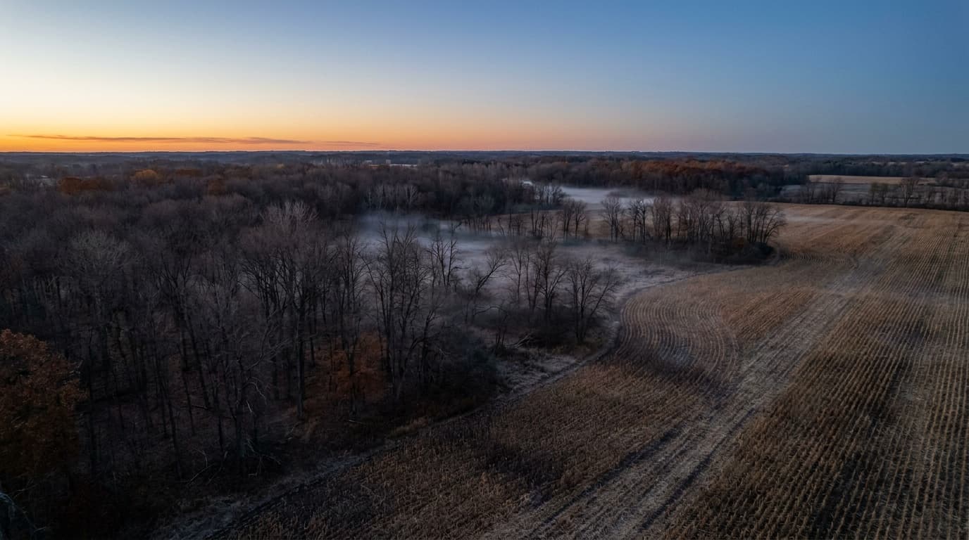 Autumn forest edge and harvested cornfield at dusk from the air