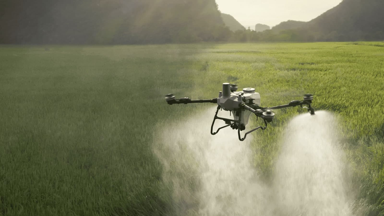 DJI Agras agricultural drone spraying crops over a green field