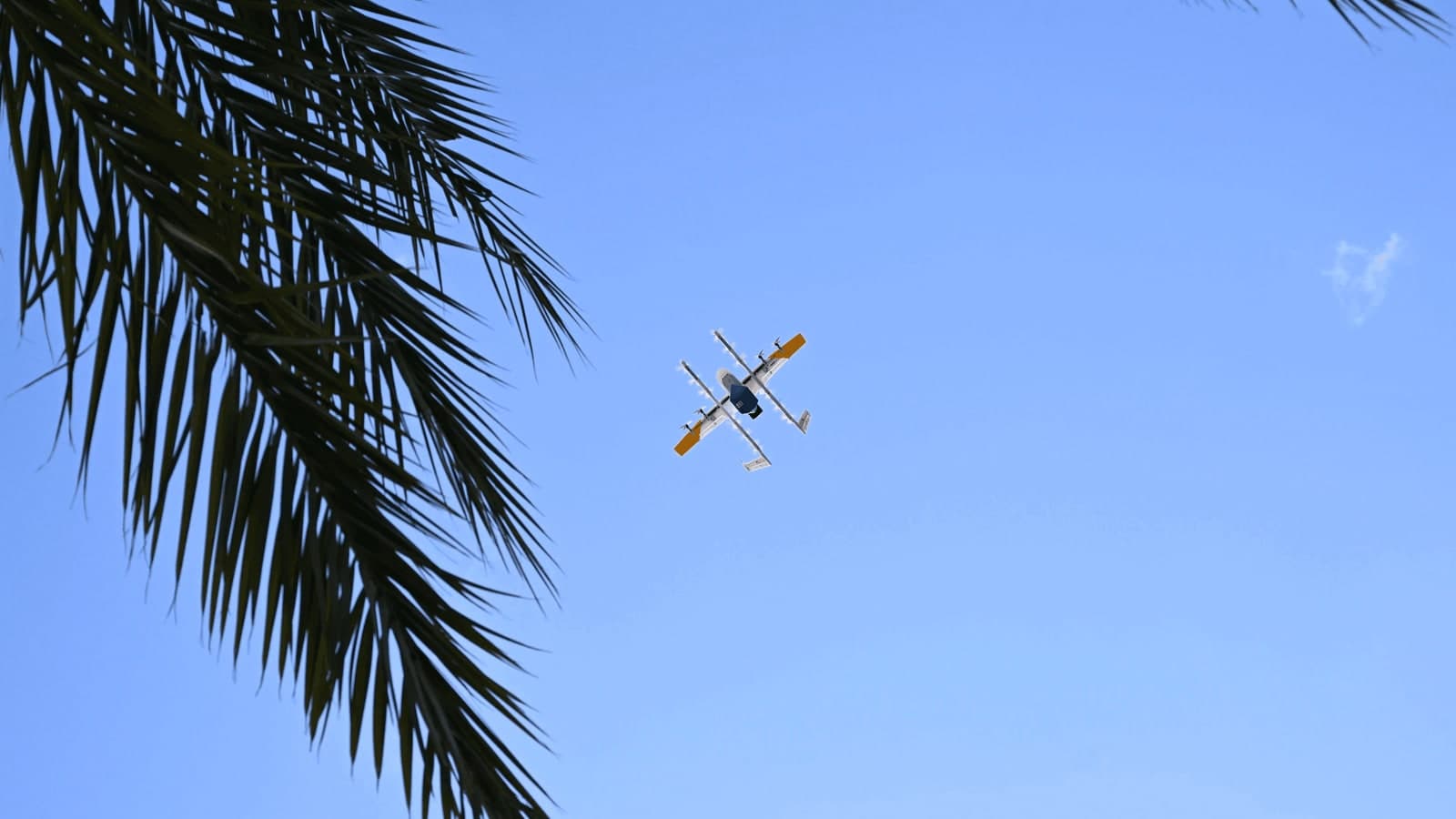 Wing delivery aircraft flying over Central Florida beneath palm fronds